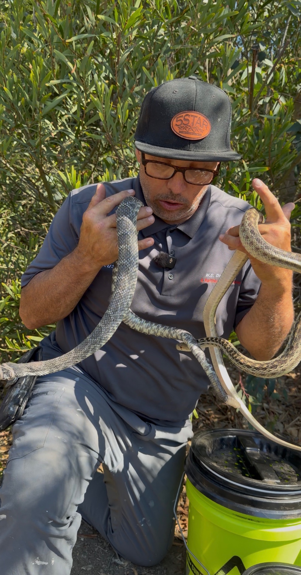 Rusty kneeling while handling two snakes during a training demonstration